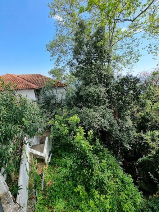 Kapsala'S Family Home Agios Ioannis  Extérieur photo